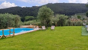 A swimming pool with a wooden deck, surrounded by a grassy lawn and trees. - Villa / Independent home in Capannori with 3 bedrooms sleeps 6 (Capannori)