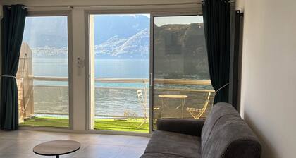 Magnificent apartment with view of Lac du Bourget and waterfront (20 meters)