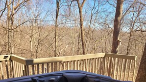 Un jacuzzi con una terraza de madera y vistas a árboles sin hojas al fondo.