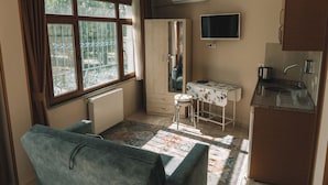 Sınıflandırılmamış resim, 92 üzerinden 3, düğme