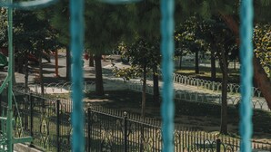 Sınıflandırılmamış resim, 92 üzerinden 5, düğme