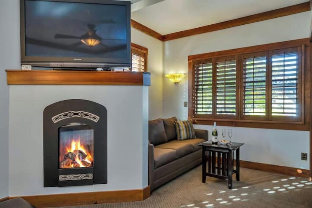 TV connectée, cheminée, lecteur de DVD, livres