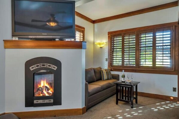 Una Smart TV, una chimenea, un reproductor de DVD, libros