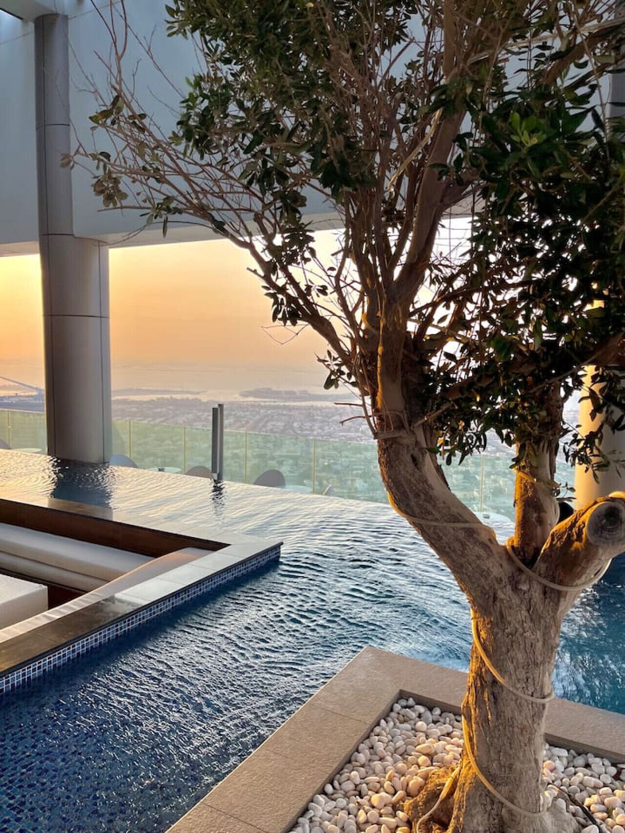 An infinity pool with a tree in the center, surrounded by pebbles and a view of the cityscape at sunset.
