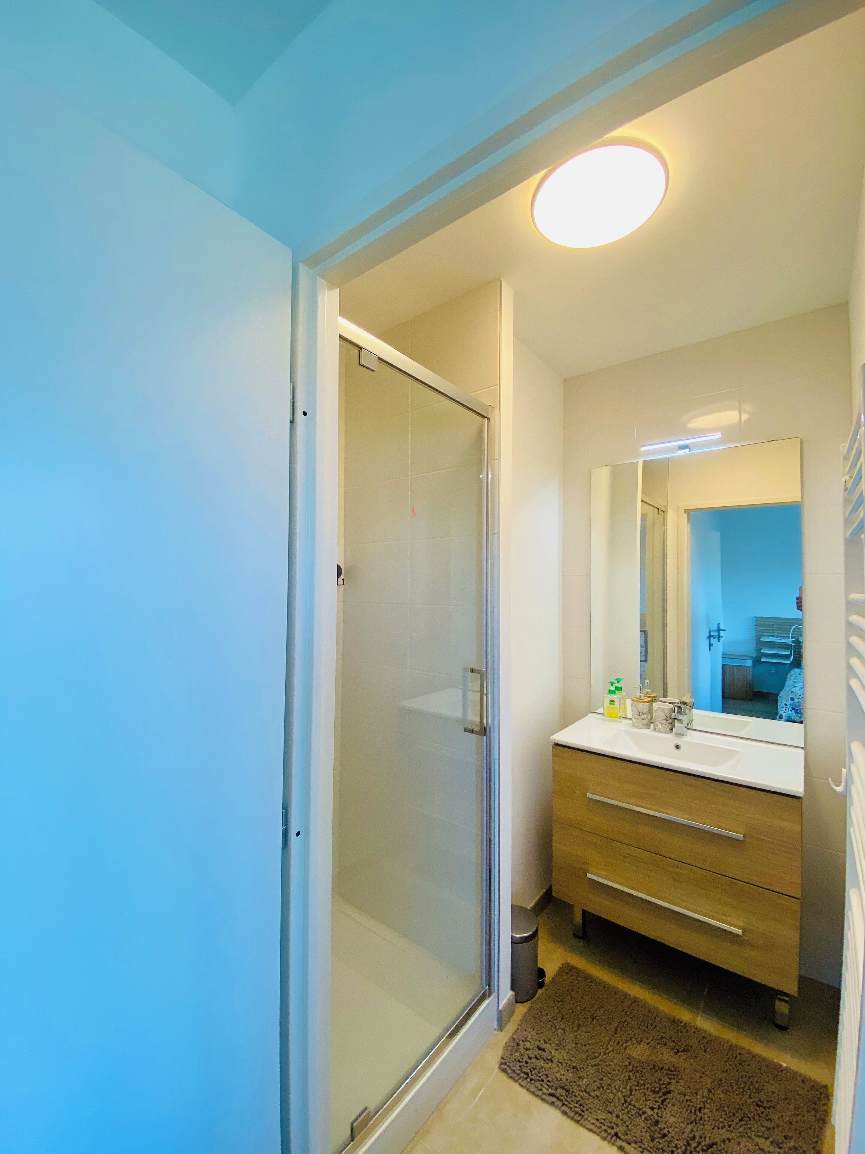 Shower, hair dryer, soap, toilet paper