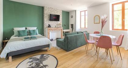 Air-conditioned Safari apartment with Rhône view 2/4pers