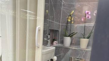 Shower, hair dryer, towels