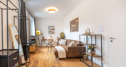 Studio Augusta: modern, vollausgestattet, Rhein 50m, Business & Privat, all-inkl