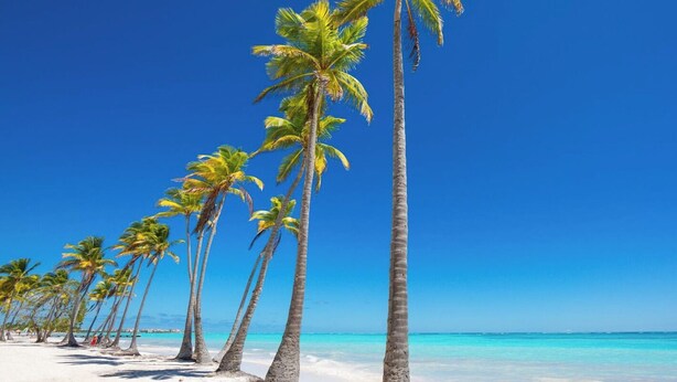A beach with tall palm trees and clear blue water. - Cap Cana Luxury 2 bedroom and 2 bath condo, Pool, near Juanillo beach, Golf




 (Las Canas)