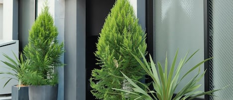 A modern building with large windows and potted plants along the entrance.