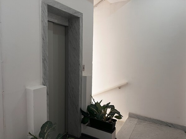Un pasillo con puerta de mármol, una planta en maceta y un interruptor de luz en la pared.