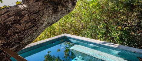 室外游泳池,恒温泳池