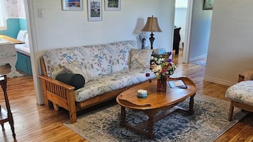 TV connectée, cheminée, lecteur de DVD, livres