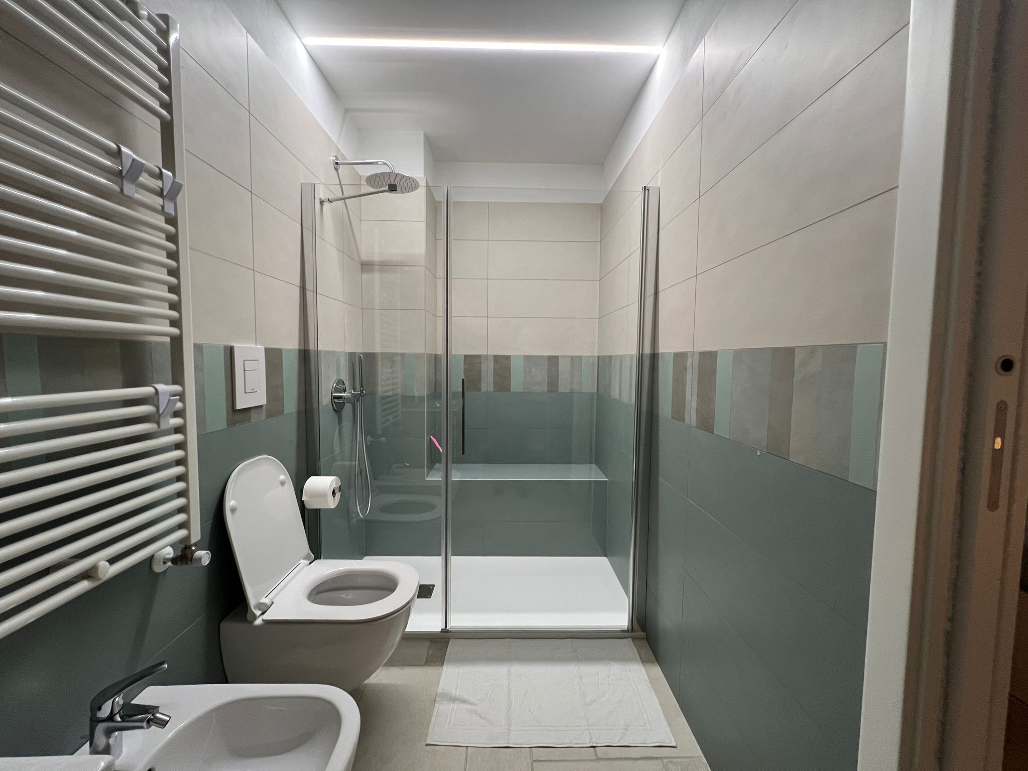 Shower, hair dryer, bidet, towels