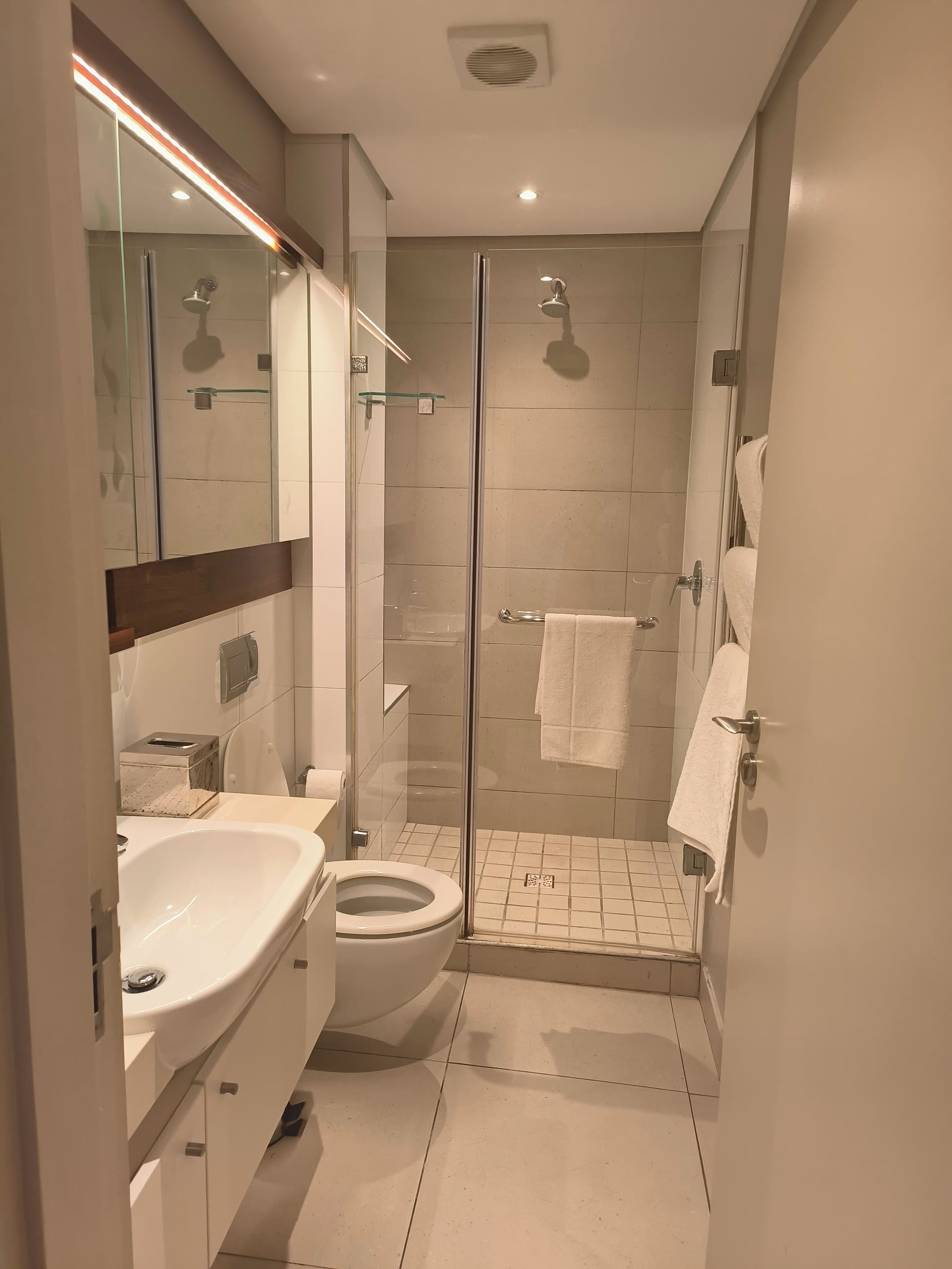 Bruser, hårtørrer, håndklæder, Sæbe