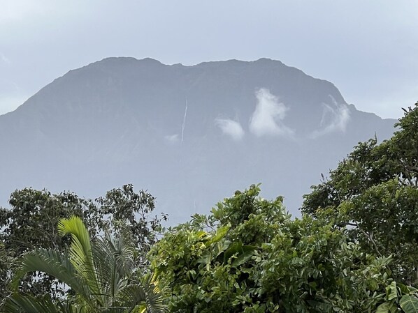 A mountain with a cloudy sky and lush greenery in the foreground. - Nestled in Unbeatable Location, offering a rare Combination of Comfort & Beauty (Princeville)