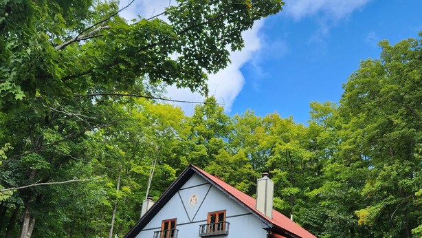 Una casa de dos pisos con techo rojo, rodeada de árboles verdes y frondosos.