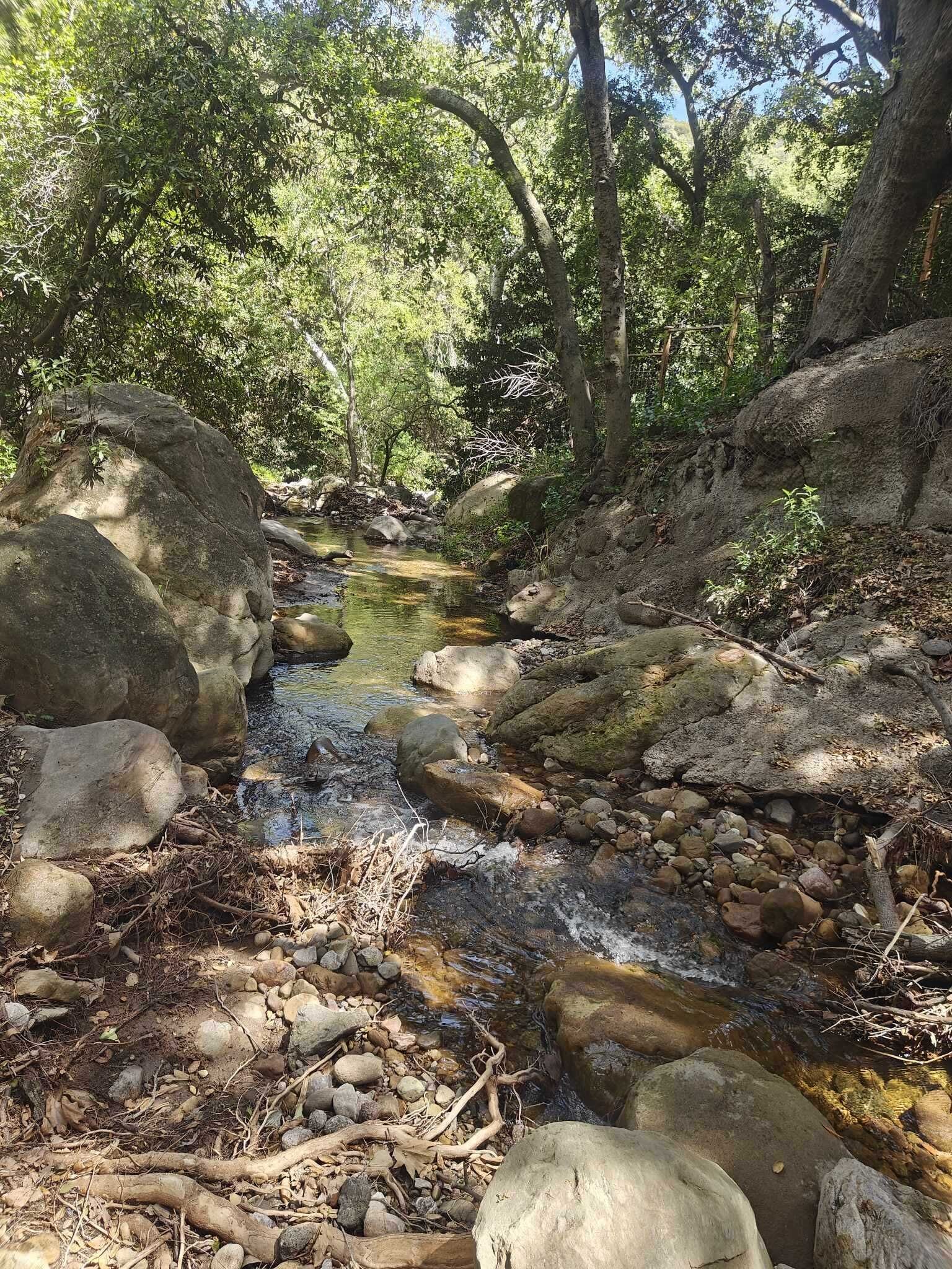 A natural stream surrounded by rocks and trees.
