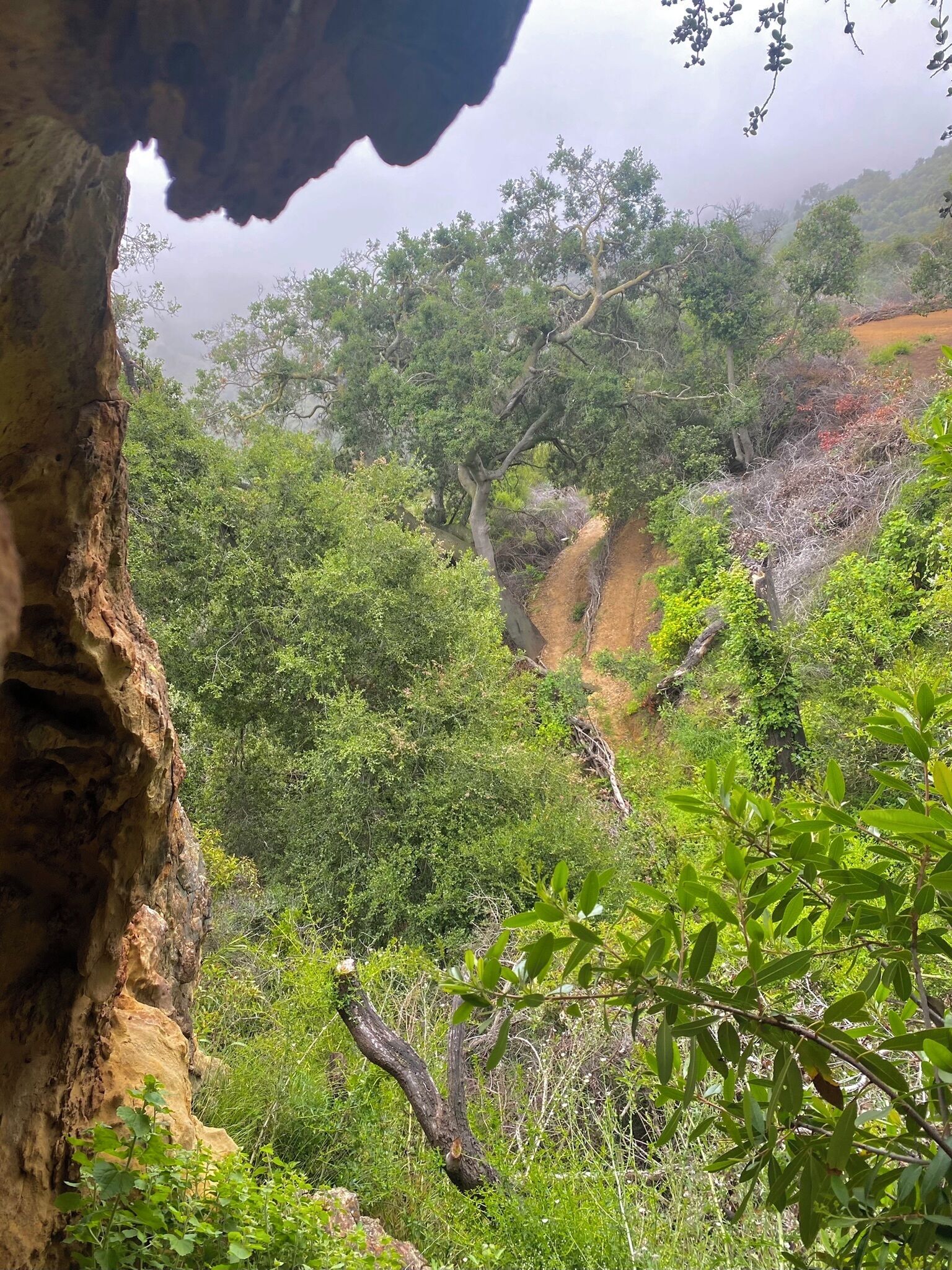 A natural landscape with dense vegetation and a prominent rock formation.