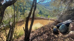 A natural landscape with a dirt path, trees, and a stone wall.