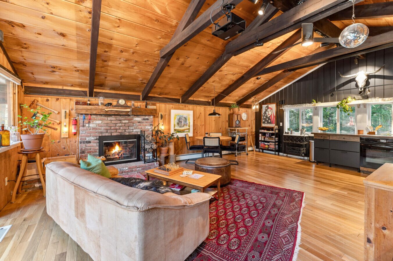 TV connectée, cheminée, lecteur de DVD, livres