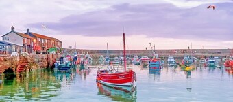 Sunnyside - in the Heart of Beer