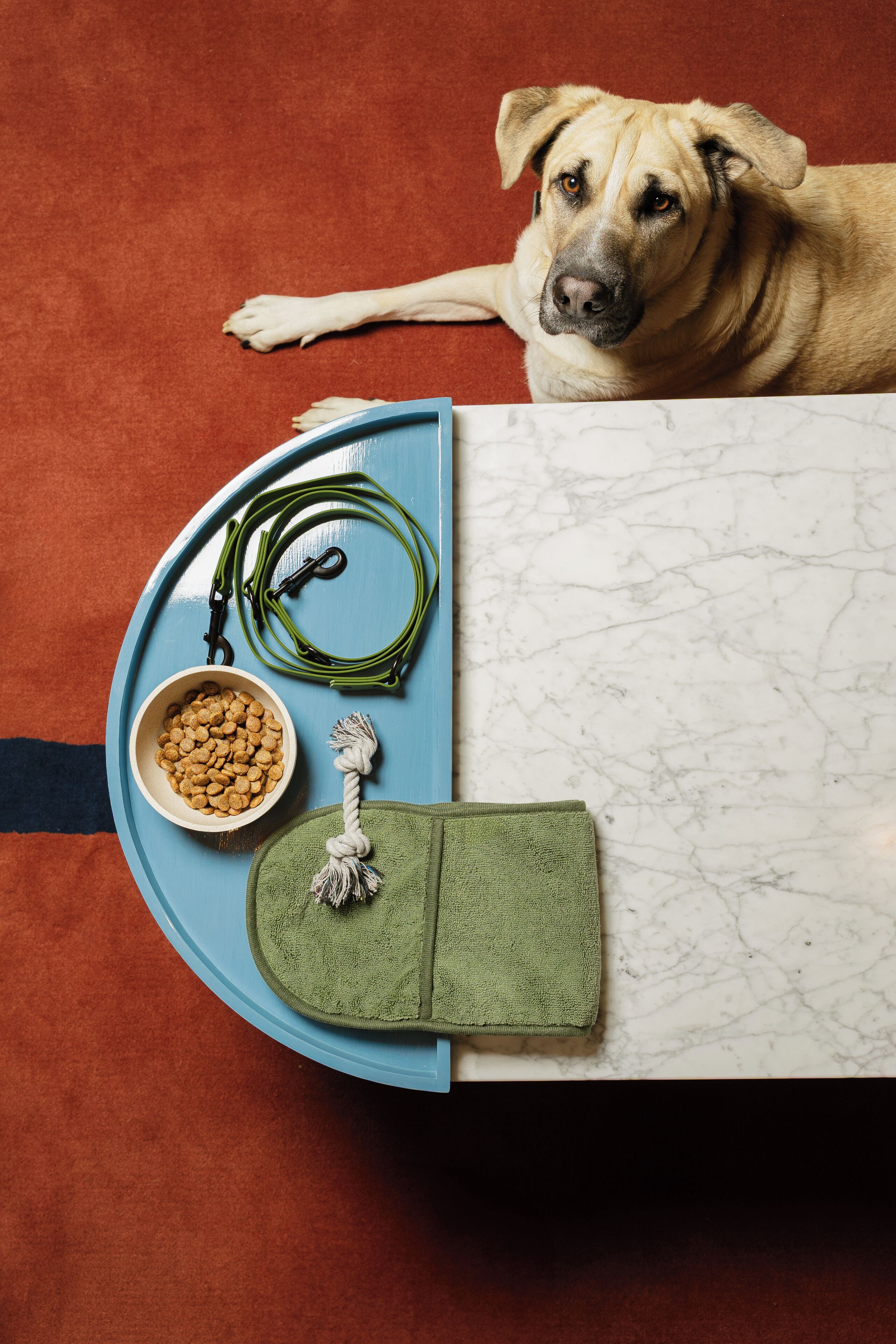 Photo - Kimpton Main Frankfurt by IHG