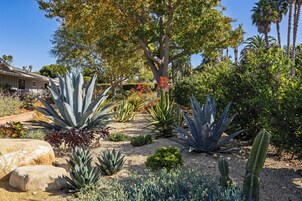 A garden with large agave plants, a tree with red flowers, and various other desert plants.