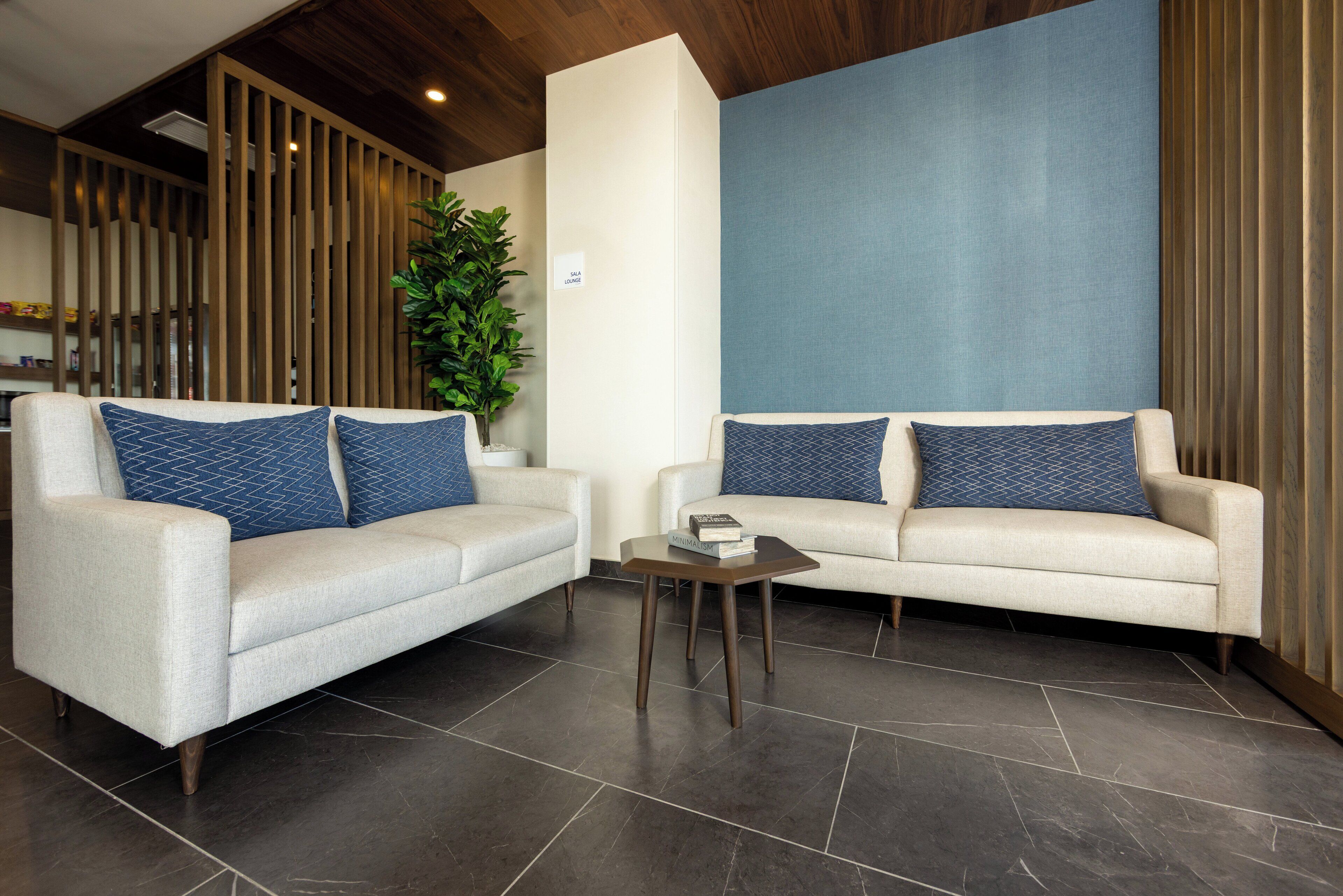 A modern living area with two sofas, a coffee table, and a large plant.