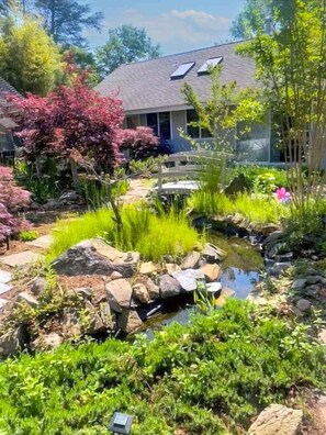 A garden with a pond, rocks, and various plants.