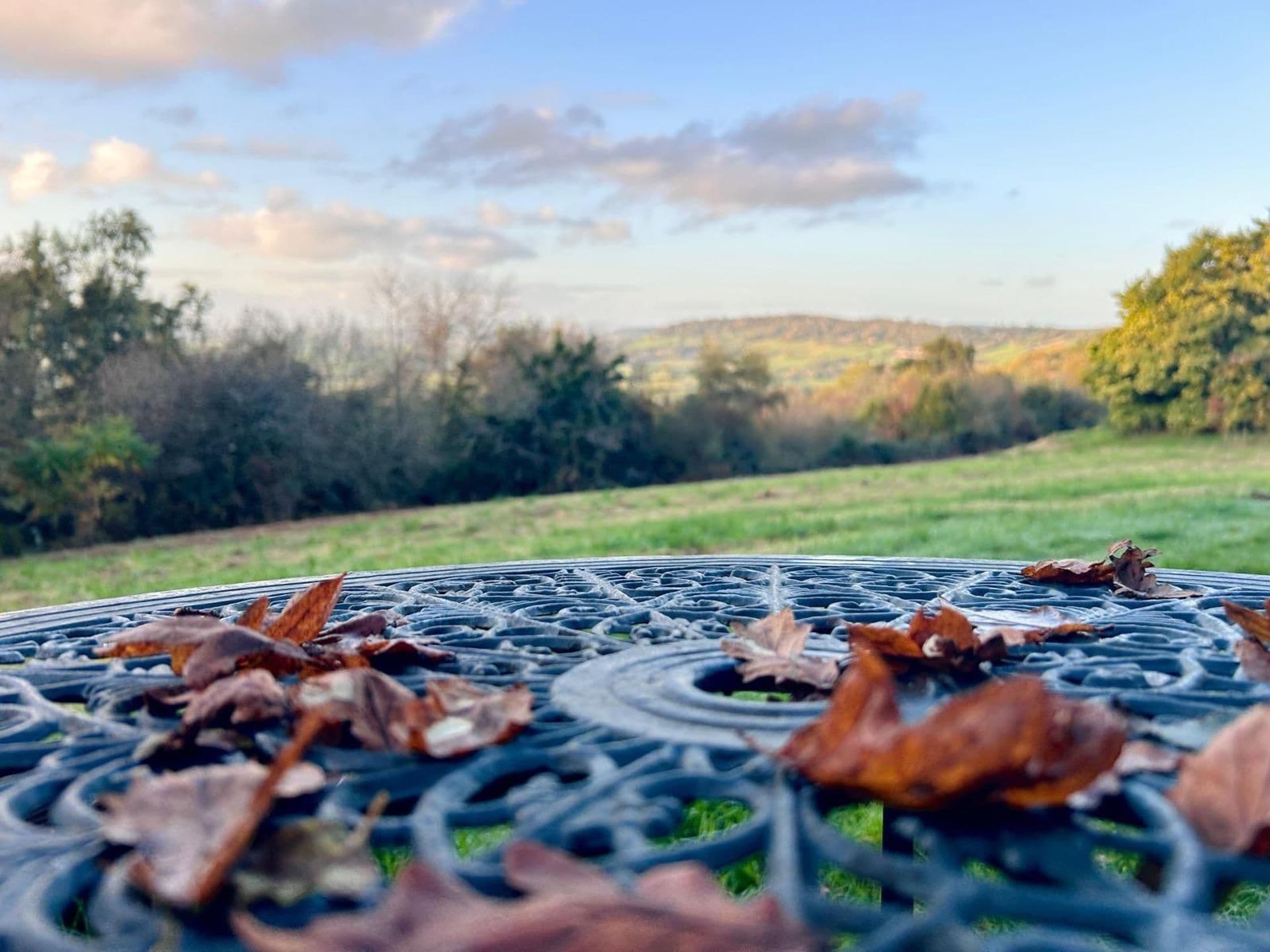 A metal table with a circular pattern, surrounded by fallen leaves, set outdoors with a view of trees and hills in the background.