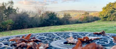 Cabin | Property grounds