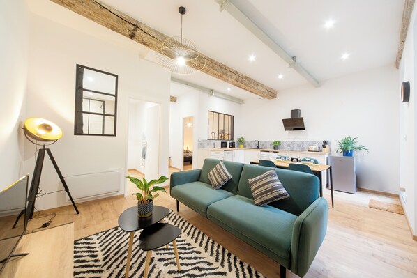 TV, DVD player, books - Charming T2 Apartment with Terrace in Mâcon - Near Train Station (Mâcon)