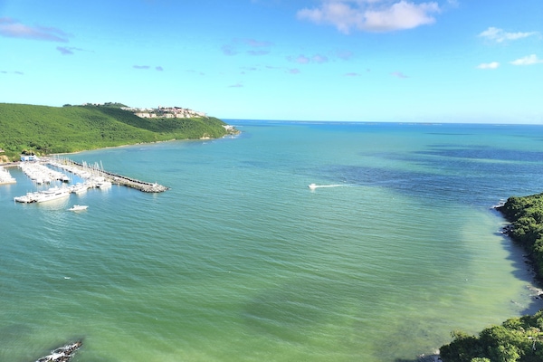 View from Family/Living Room where manatees and sea turtles visit daily