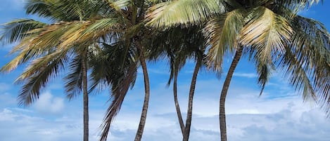 Strandtücher