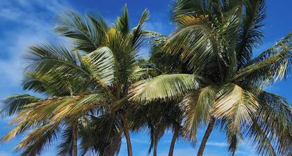 Amazing Waterfront View 2-bedroom Luxury Condo in Beautiful Farjado, Puerto Rico