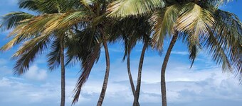 Amazing Waterfront View 2-bedroom Luxury Condo in Beautiful Farjado, Puerto Rico