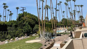 A landscaped area with palm trees, a pool, and a well-maintained lawn. -  2 BR Chic Mid Century located in the heart of Palm Springs w/ stunning pool (Palm Springs)