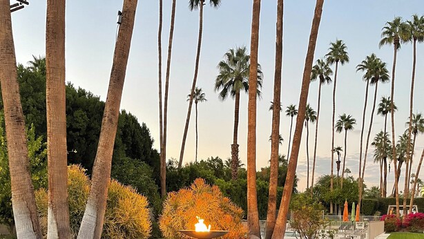 A landscaped area with a pool, palm trees, and a fountain. -  2 BR Chic Mid Century located in the heart of Palm Springs w/ stunning pool (Palm Springs)