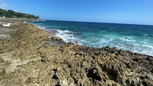 Beach - Williams Manor [Across From Ricks Cafe Negril] (Negril)
