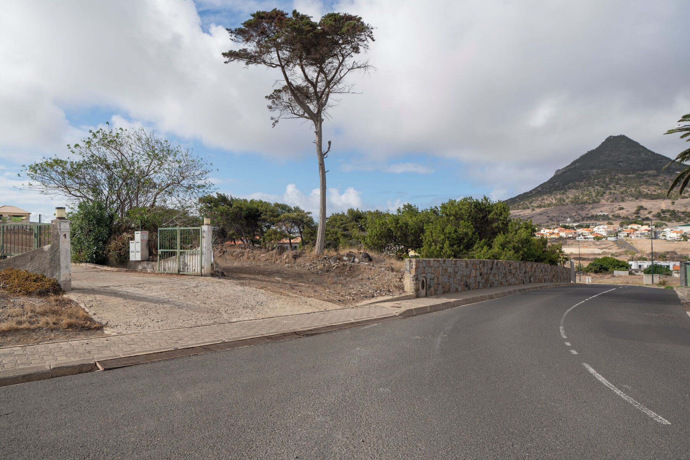 A road curving to the right with a stone wall on the left and a tree in the center.