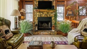 A rustic interior with a stone fireplace, leather furniture, and potted plants. - Rushing Creek Retreat, Serene Cabin with Great Views! (Sylva)