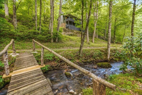 Property grounds - Rushing Creek Retreat, Serene Cabin with Great Views! (Sylva)