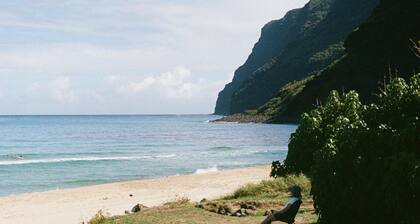Fully Decked Lifted 4WD All Tan FJ Cruiser!