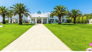 Approach the grand entrance, flanked by palm trees, and enter a serene oasis.