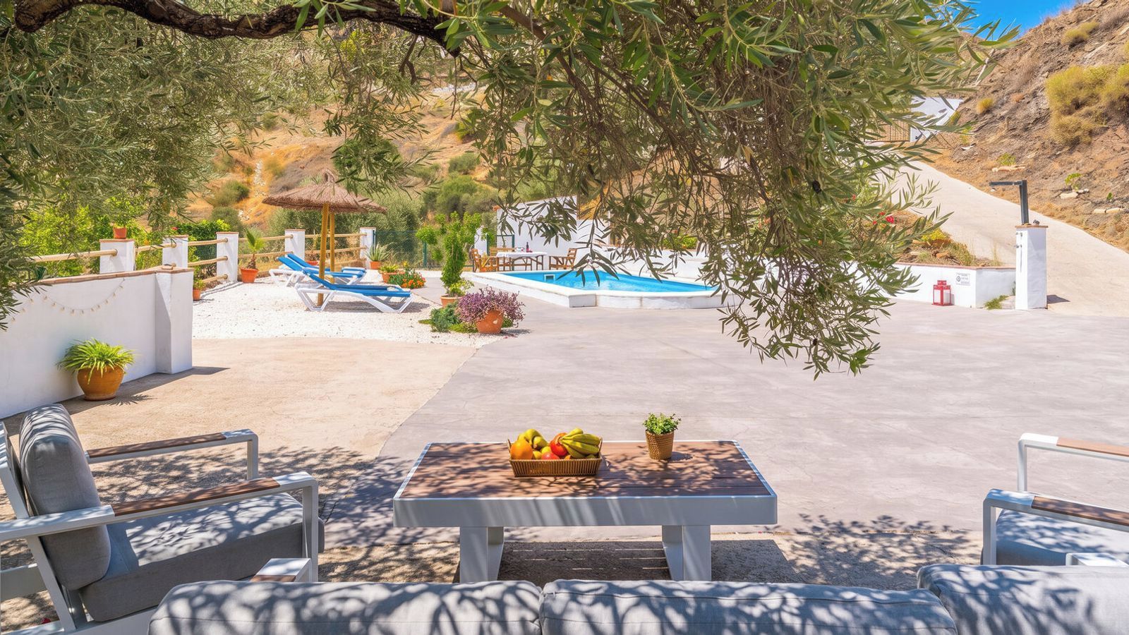A pool area with lounge chairs, a table with fruit, and a view of the pool.