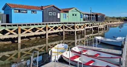 Pet friendly apartment