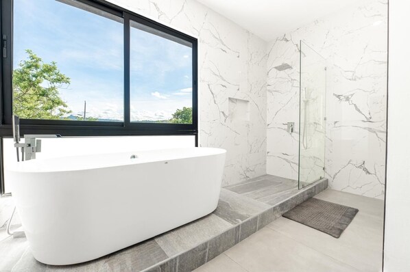 Shower, hair dryer, towels