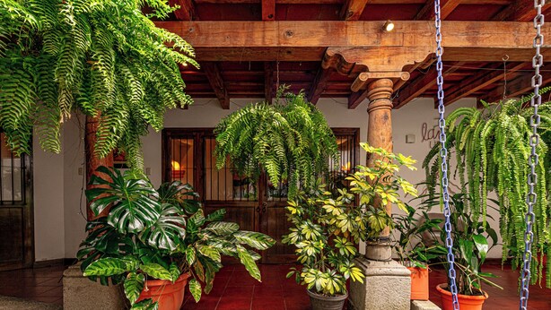 A courtyard with hanging plants, a swing, and a wooden ceiling. - House in an exclusive safe and nice condo (Antigua Guatemala)