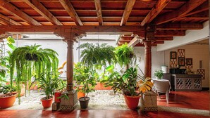 A covered patio area with multiple potted plants, a stone floor, and a wooden ceiling structure. - House in an exclusive safe and nice condo (Antigua Guatemala)